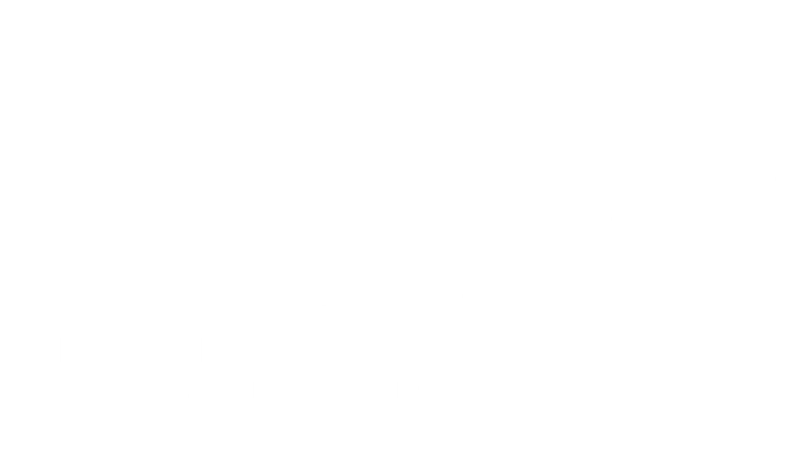 ESAAMLG logo