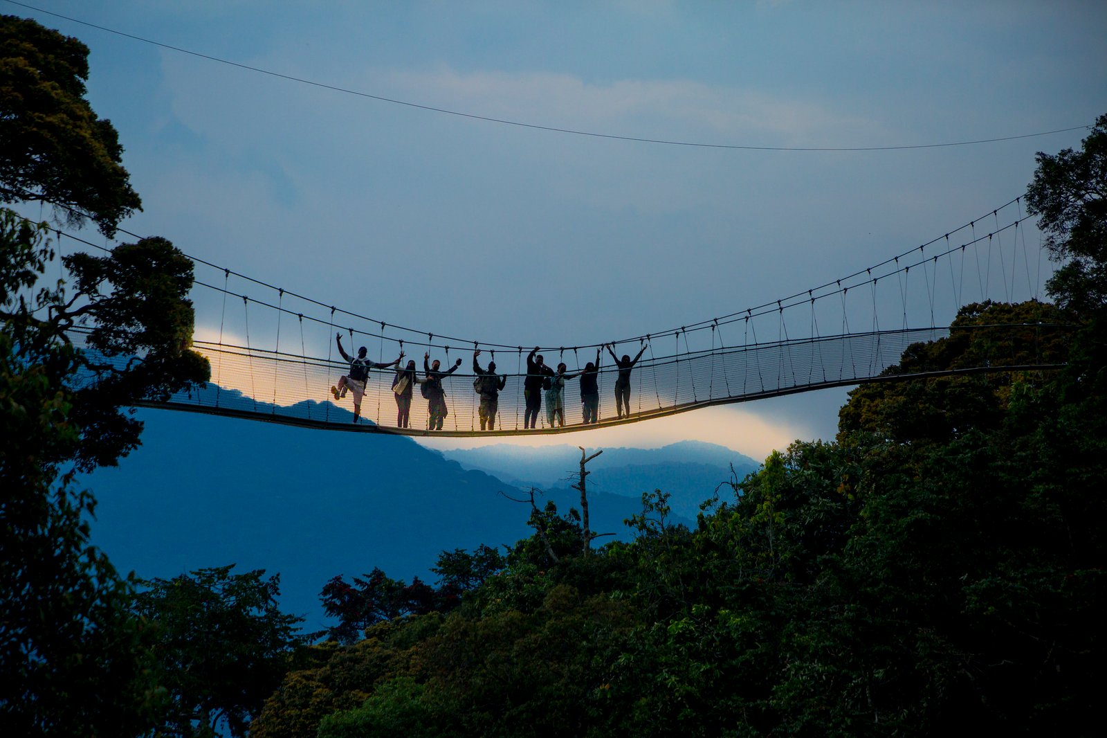 Nyungwe National Park: rainforest, canopy walk and zip line